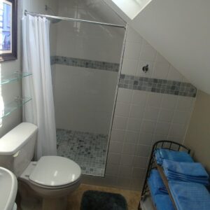 A light-filled bathroom with angled ceiling, featuring a walk-in shower with gray and mosaic tiles and a skylight.